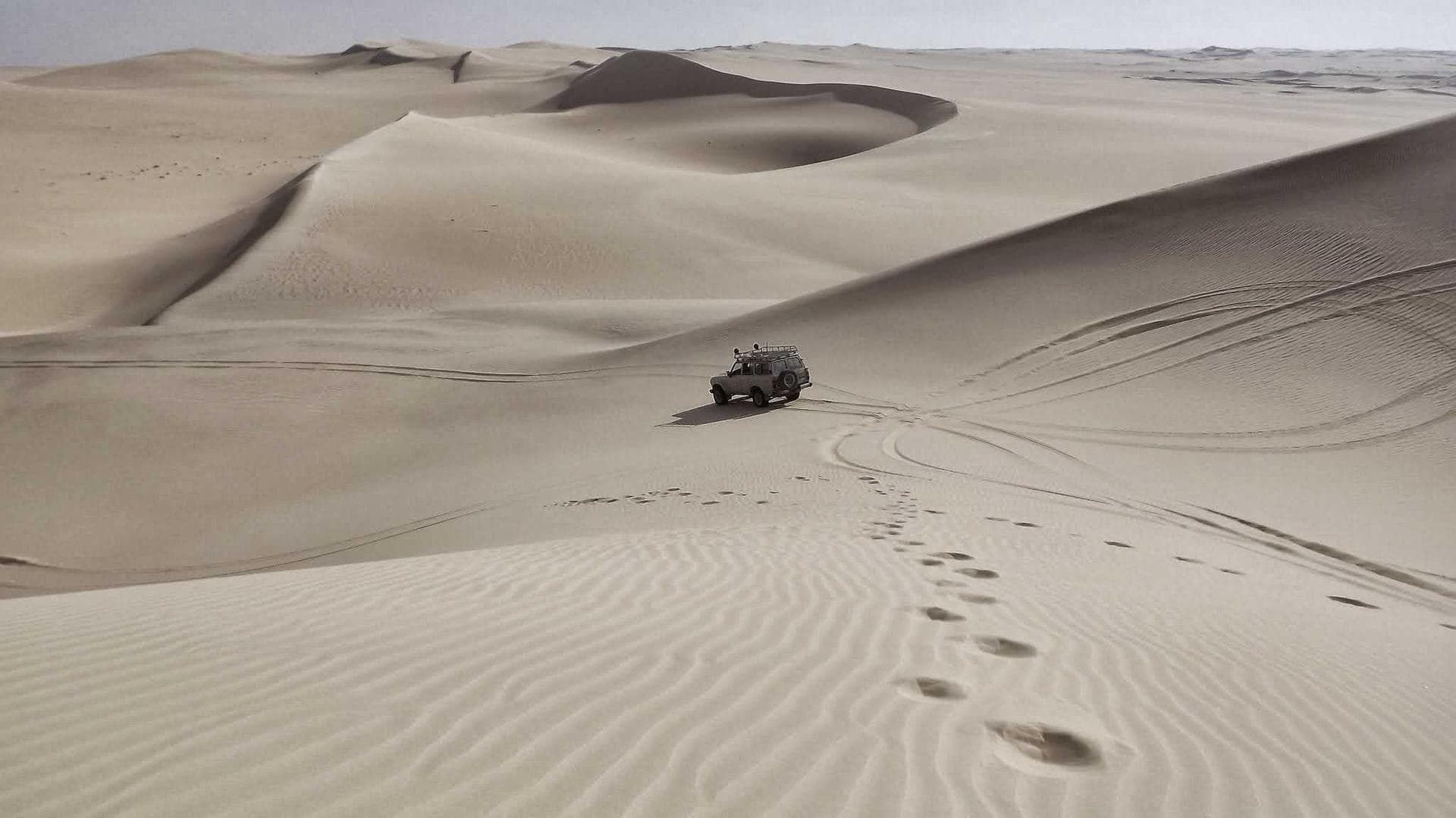 אמנות ישראלית מקורית